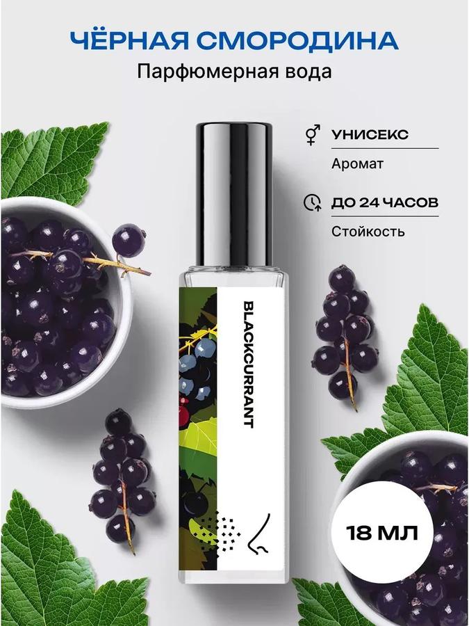 Парфюмерная вода Черная смородина 18 мл – Библиотека ароматов