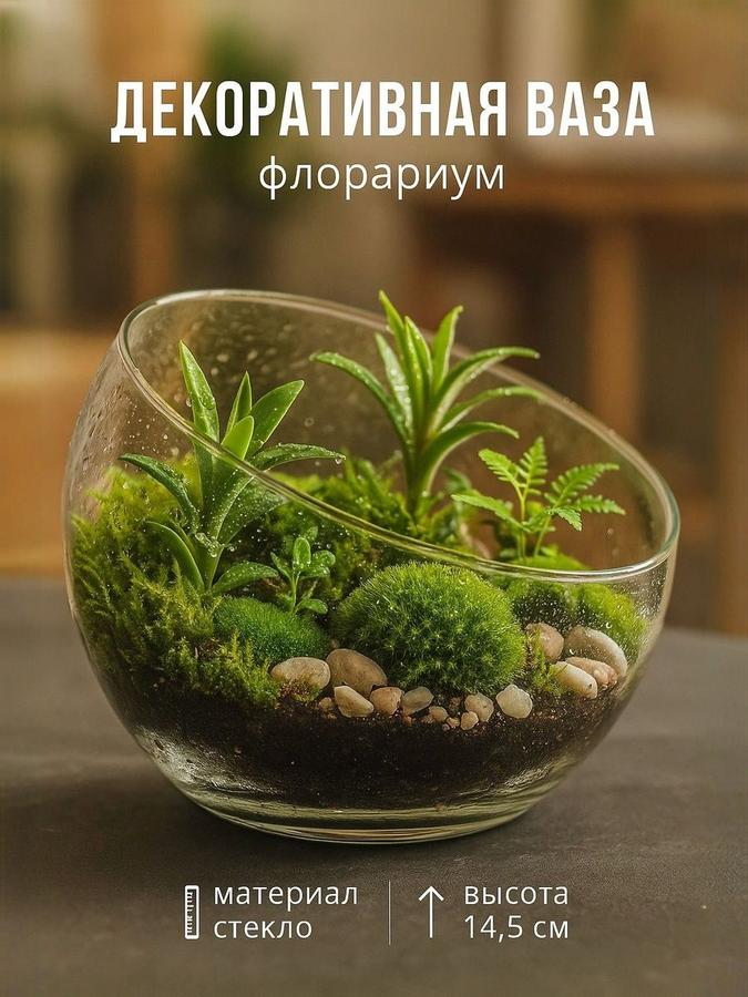 Ваза для цветов и флорариума стеклянная 1,5 л Анабель 14,5х19 см Evis прозрачная для сухоцветов