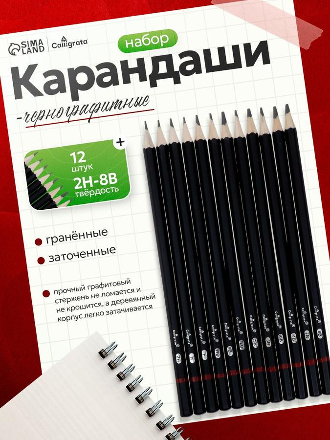 Профессиональные художественные чернографитные карандаши, набор 12 шт. (2H-8B)