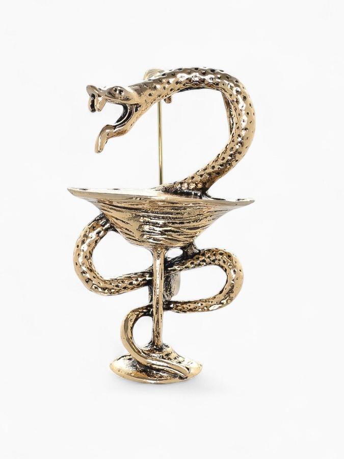 Брошь из бижутерии «Змея в геральдике» в стиле медицина, черненое золото