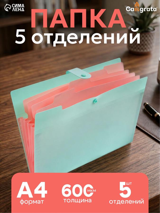 Папка для документов А4 с 5 отделениями на кнопке, семейная модель
