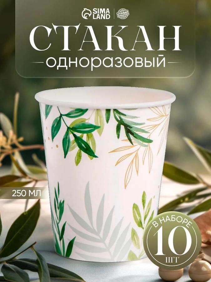 Одноразовые бумажные стаканы Природа 250 мл, набор 10 шт.