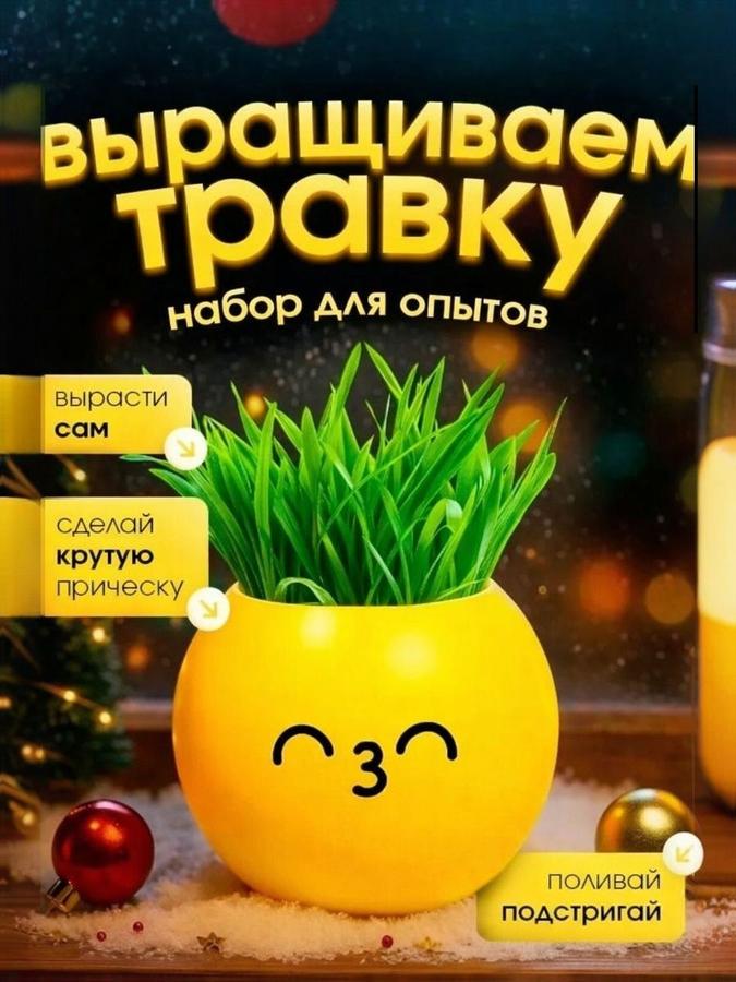 Набор для выращивания травки «Смайлик Поцелуй» с опытами и экспериментами для детей