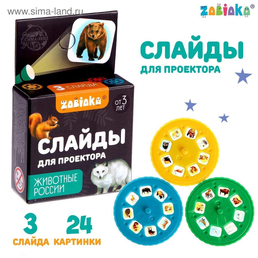 Набор слайдов для проектора ZABIAKA «Животные России»