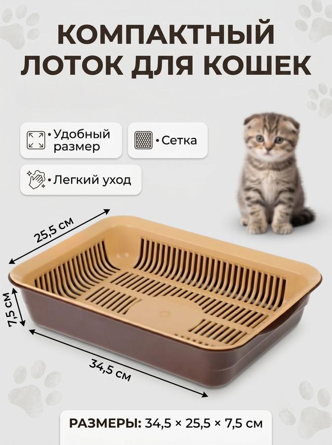 Coupon image