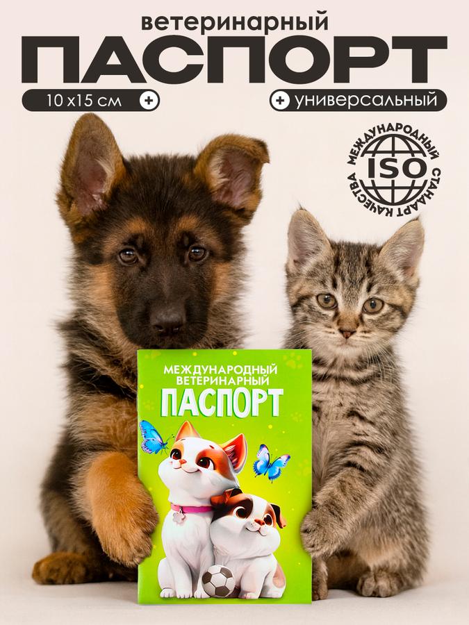Coupon image