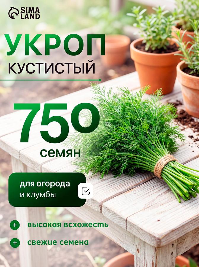 Семена укропа Кустистый суперароматный, высокоурожайный, 750 семян