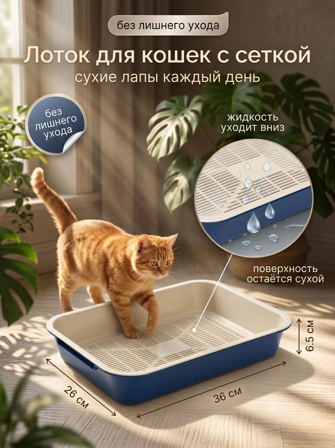 Coupon image