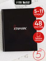 Дневник школьный 48 листов стандартный