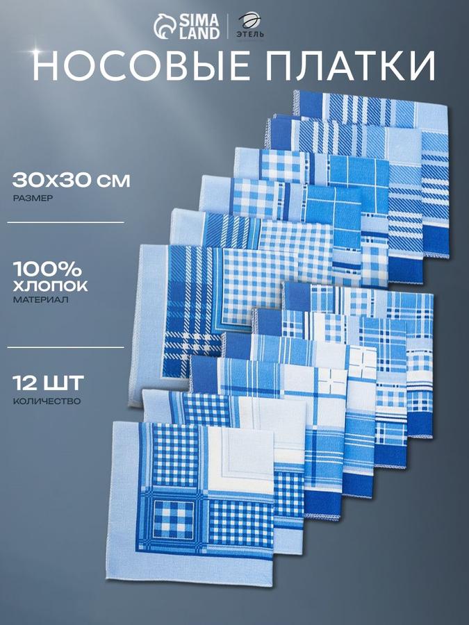 Мужские хлопковые носовые платки 30x30 см, набор 12 шт