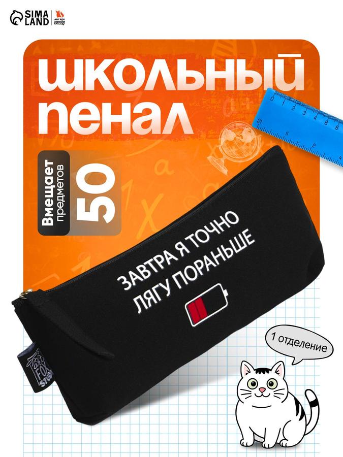 Школьный пенал 20х8х3 см компактный