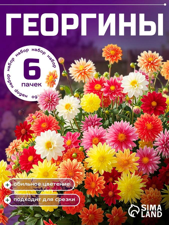 Семена георгинов смесь 10 сортов, набор из 6 упаковок