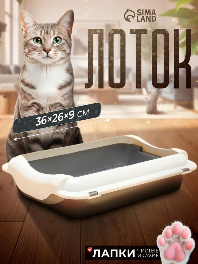 Большой лоток для кошек с бортами 36x26x9 см