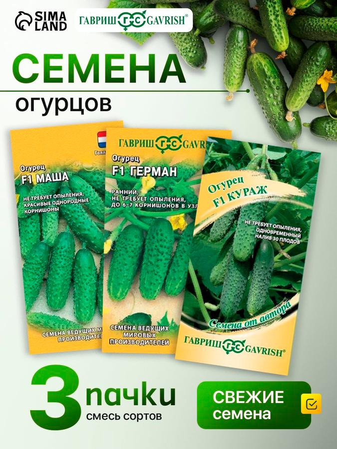 Семена самоопыляемых гибридных огурцов для теплиц и открытого грунта, 3 пакета