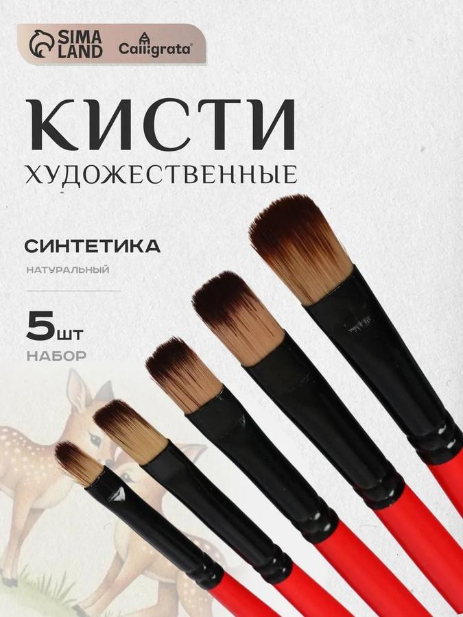 Набор из 5 синтетических кисточек для рисования (нейлон)