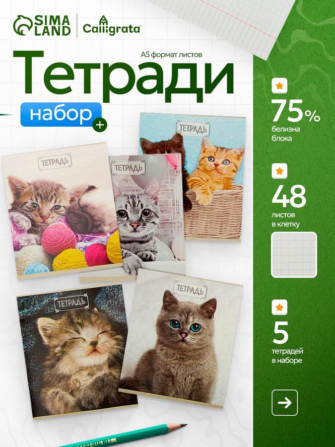 Комплект из 5 тетрадей в клетку, 48 листов, серые листы