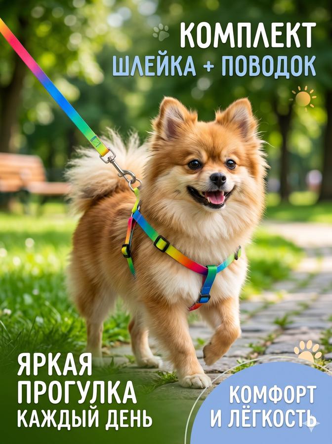 Шлейка и поводок для кошек Радуга из капрона 120x1 см, шлейка 24-34x1 см