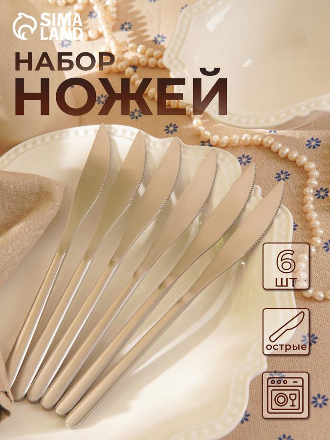 Набор столовых ножей из нержавеющей стали для 6 персон