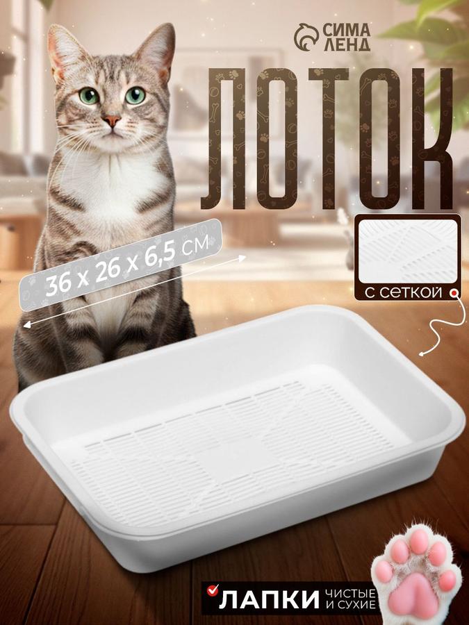 Белый лоток для кошек с сеткой 36x26x6,5 см
