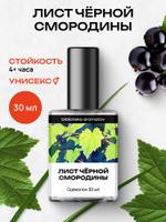Туалетная вода мужская и женская Лист черной смородины 30 мл, Библиотека ароматов, стойкая