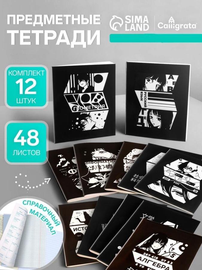 Набор из 12 предметных тетрадей 48 листов с справочным материалом