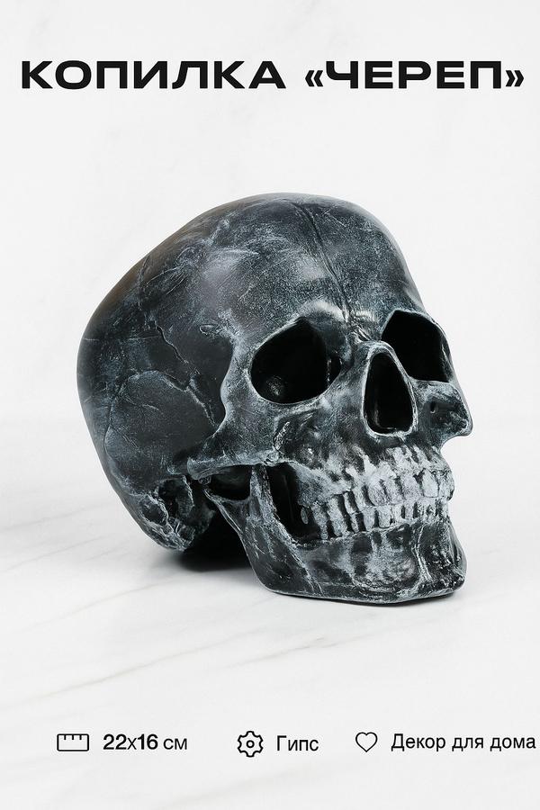 Копилка для денег "Череп" 22x16 см серая из полистоуна, декор для дома