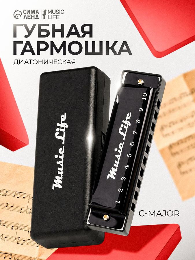 Губная гармошка диатоническая C major с футляром, черная