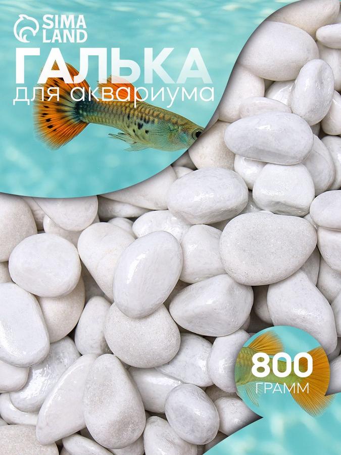 Цветная декоративная галька для аквариума и растений (8-12 мм), белая, 800 г