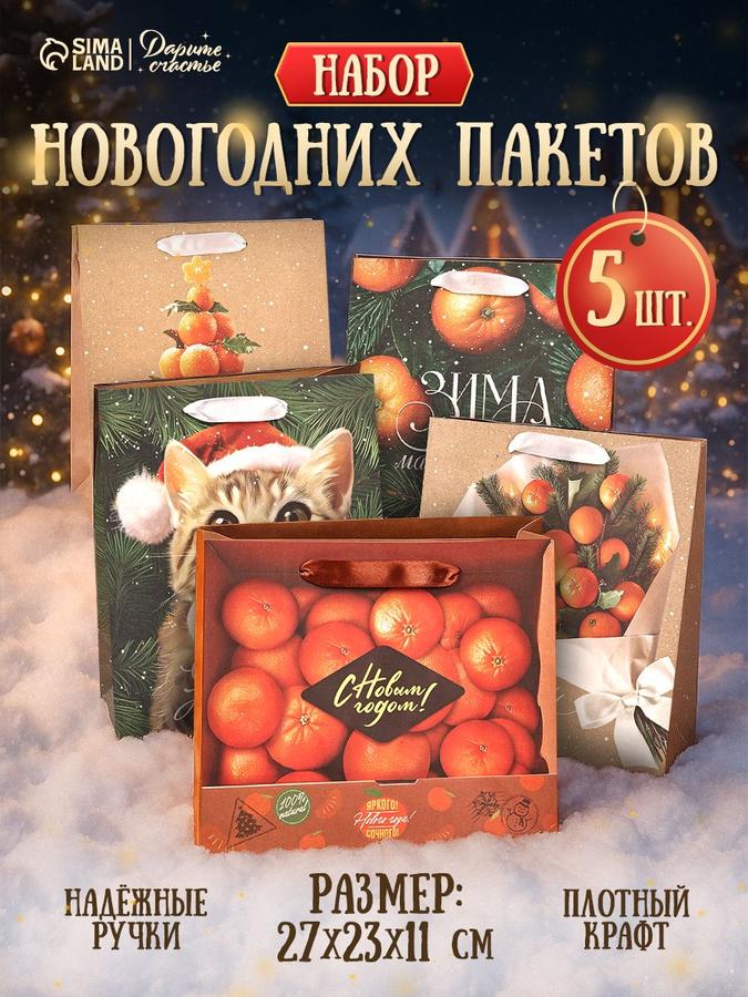 Набор из 5 новогодних подарочных пакетов 27х23х11.5 см