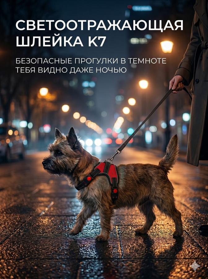 Светоотражающая шлейка для собак мелких и средних пород, размер S (ОГ 44-55 см, вес 5-9 кг)
