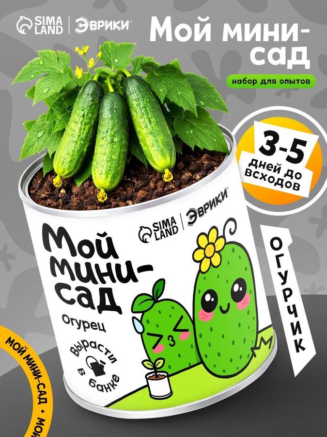 Coupon image