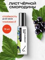 Парфюмерная вода Лист черной смородины 18 мл – Библиотека ароматов