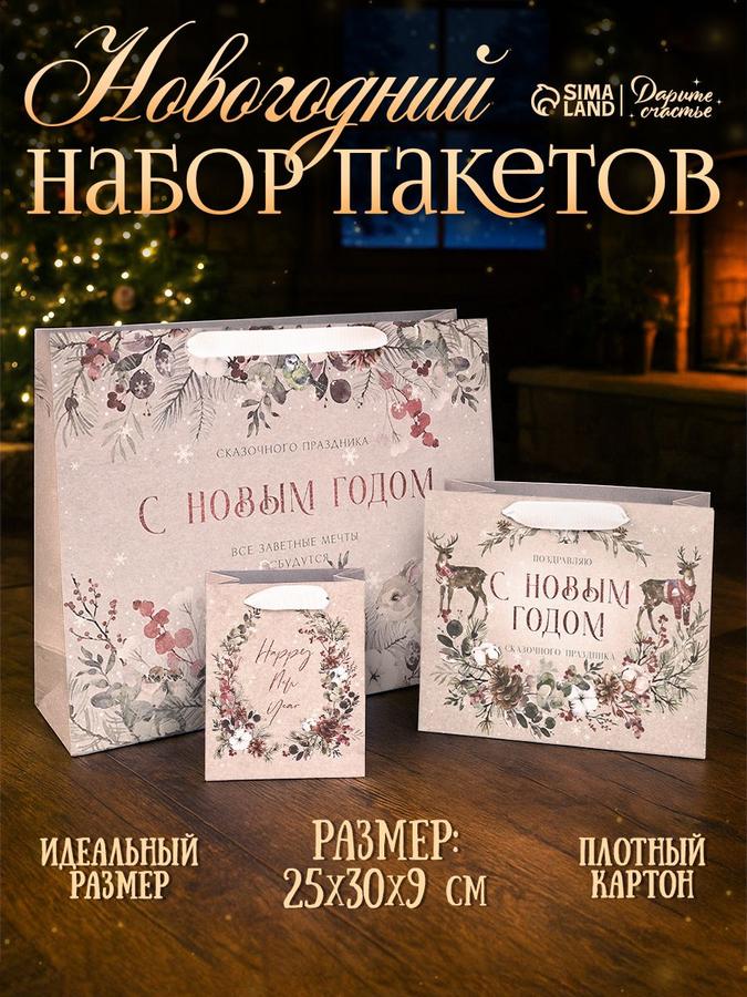 Набор из 3 новогодних подарочных пакетов