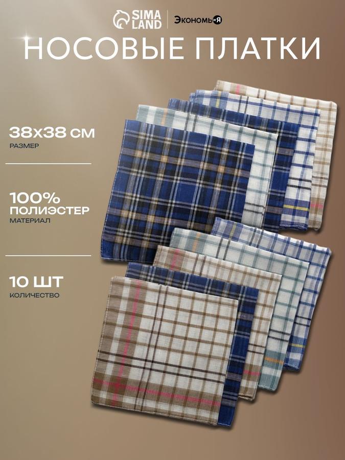 Носовые платки мужские Квадрат 38x38 см, набор 10 шт.