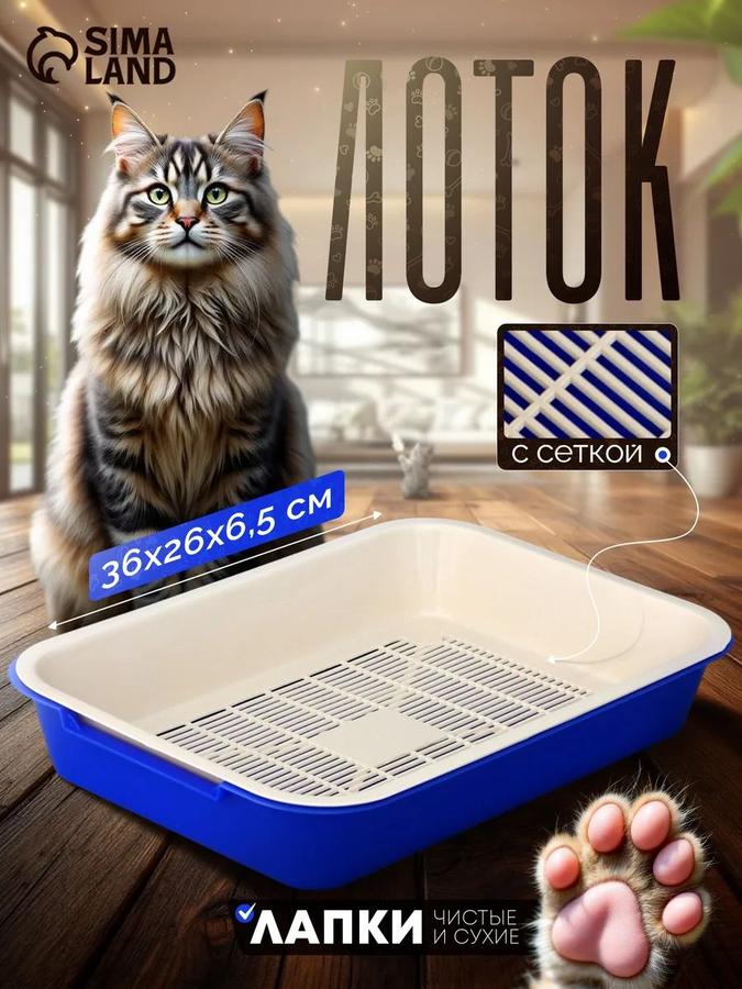 Лоток для кошек с сеткой 36x26x6.5 см синий