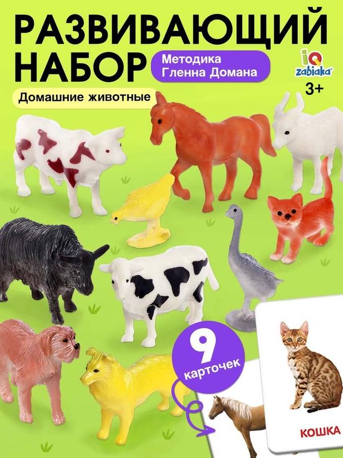 Coupon image