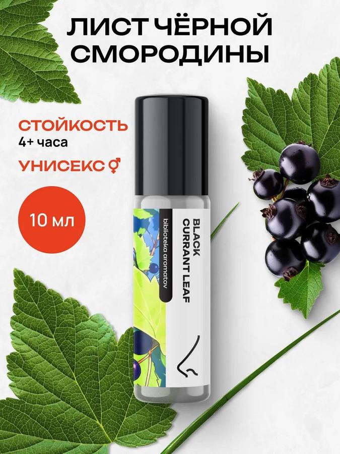 Масляные духи Лист черной смородины 10 мл – Библиотека ароматов