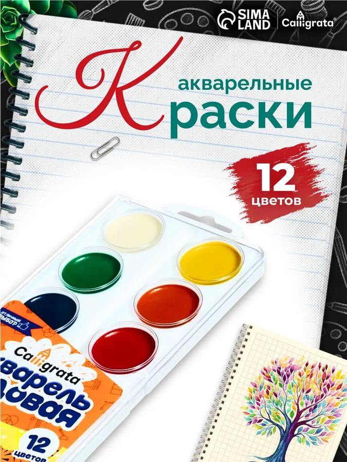 Акварель медовая Calligrata 12 цветов без кисти для рисования