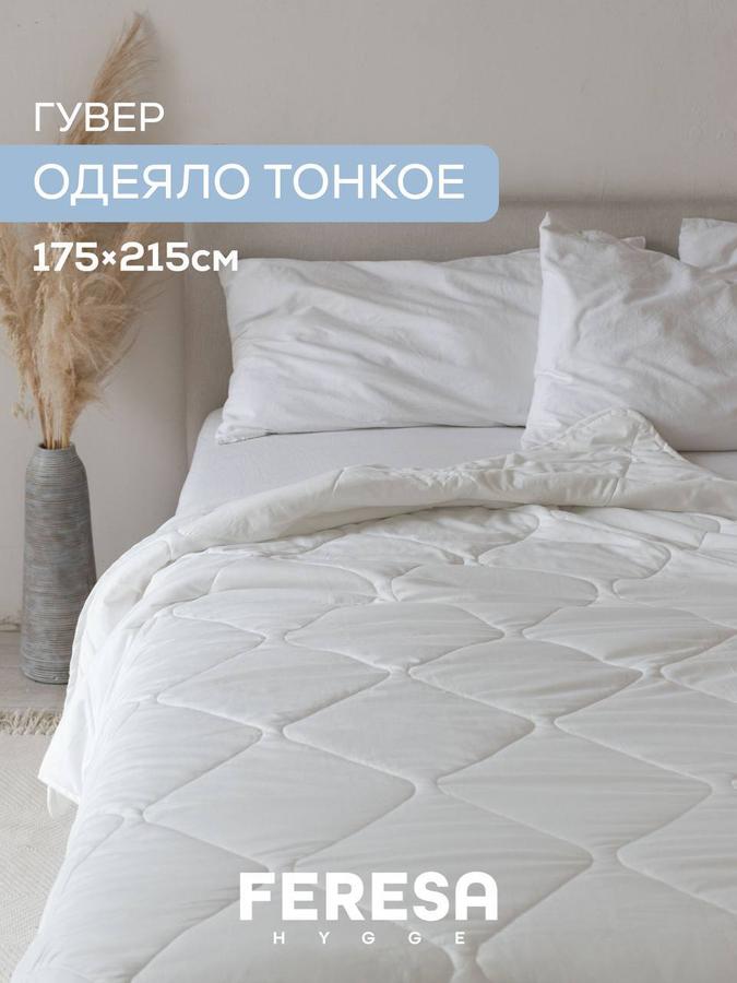 Одеяло 2-спальное 175х215 см легкое "Гувер"