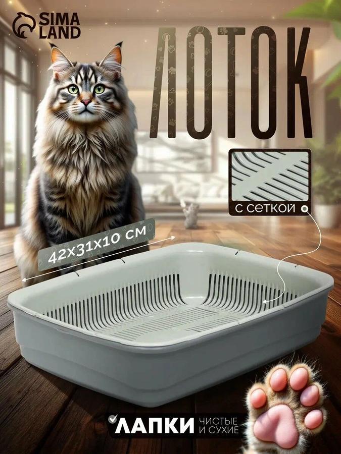 Лоток для кошек с сеткой большой 42x31x10 см