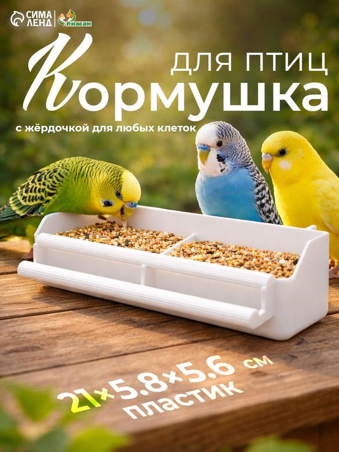 Coupon image