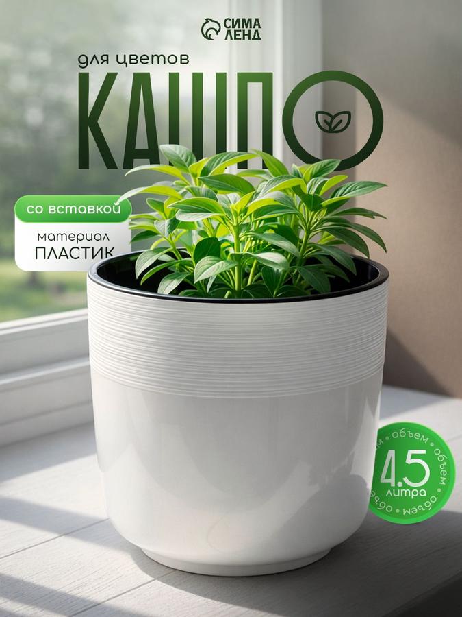 Coupon image