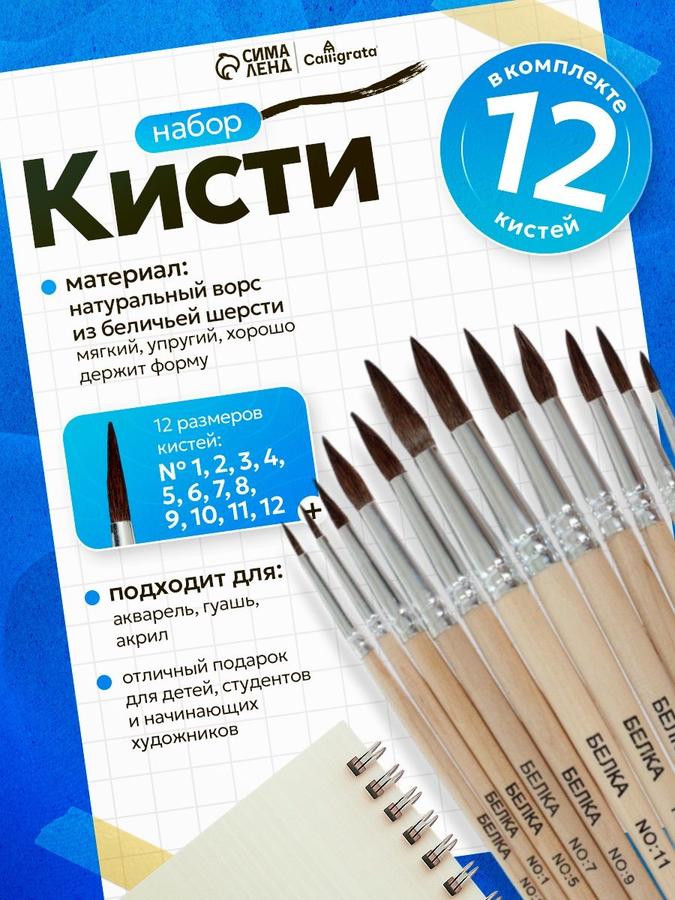 Набор кистей для рисования Белка, 12 шт. (№1-12)