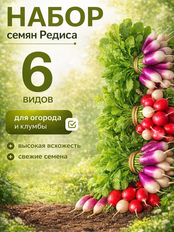 Семена редиса ультрараннего, 6 сортов для выращивания